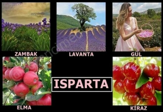 ISPARTALILAR BU SAYFADA BULUŞUYOR...